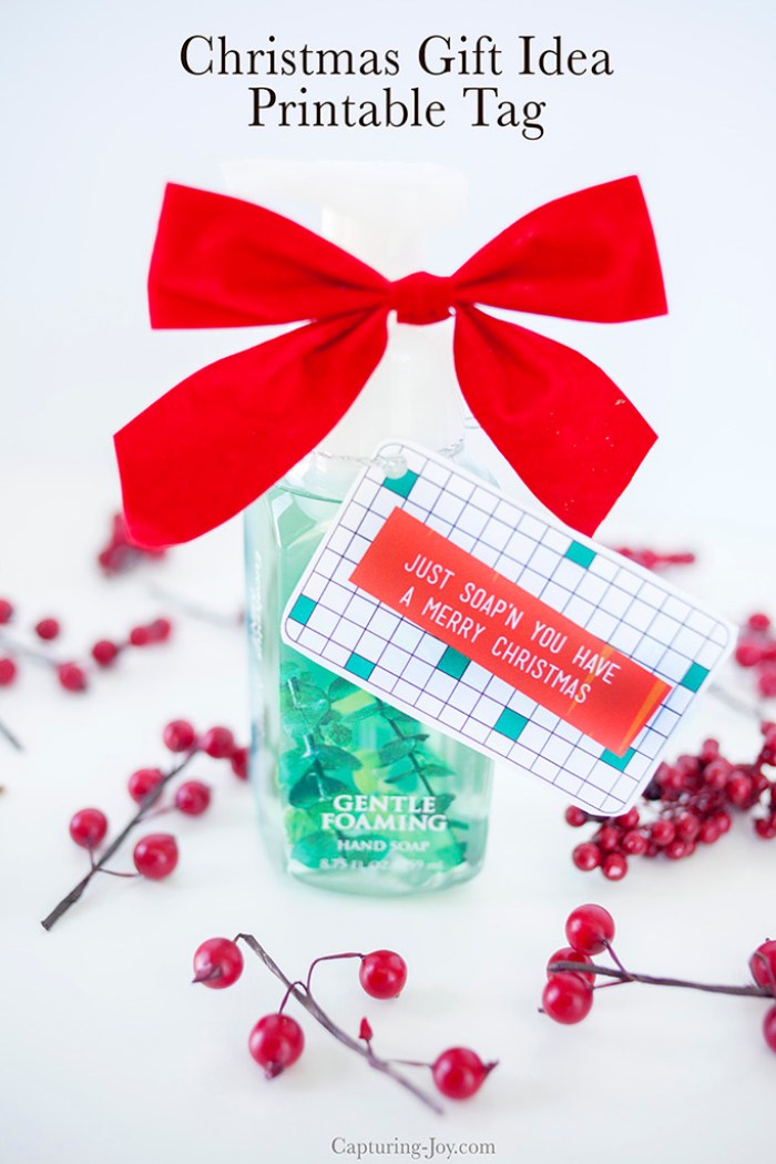 Free Christmas Printable Gift Tags - Soap Gift Idea!