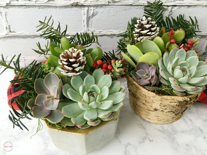 DIY Sangria & Succulents Gift Basket Ideas - Must Have Mom