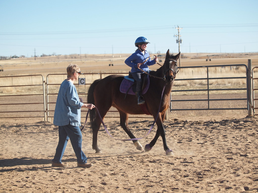 Heading 4: Decoding the Market: Key ⁣Factors to Consider When ⁤Purchasing an OTTB for Riding or Racing Purposes