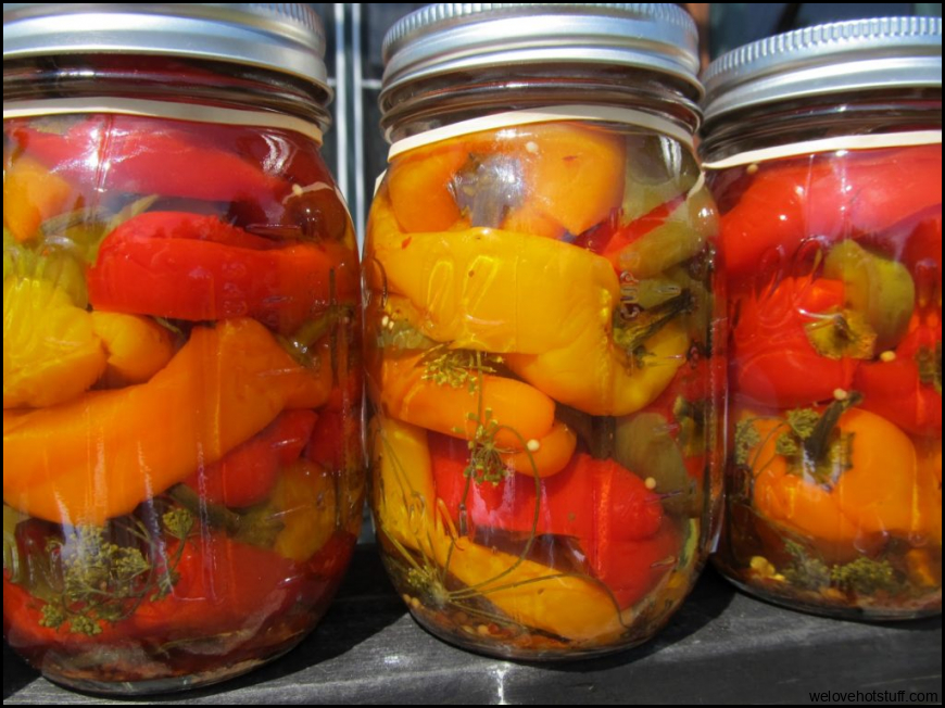 5 Easy Steps To Canning Peppers - Off The Grid News