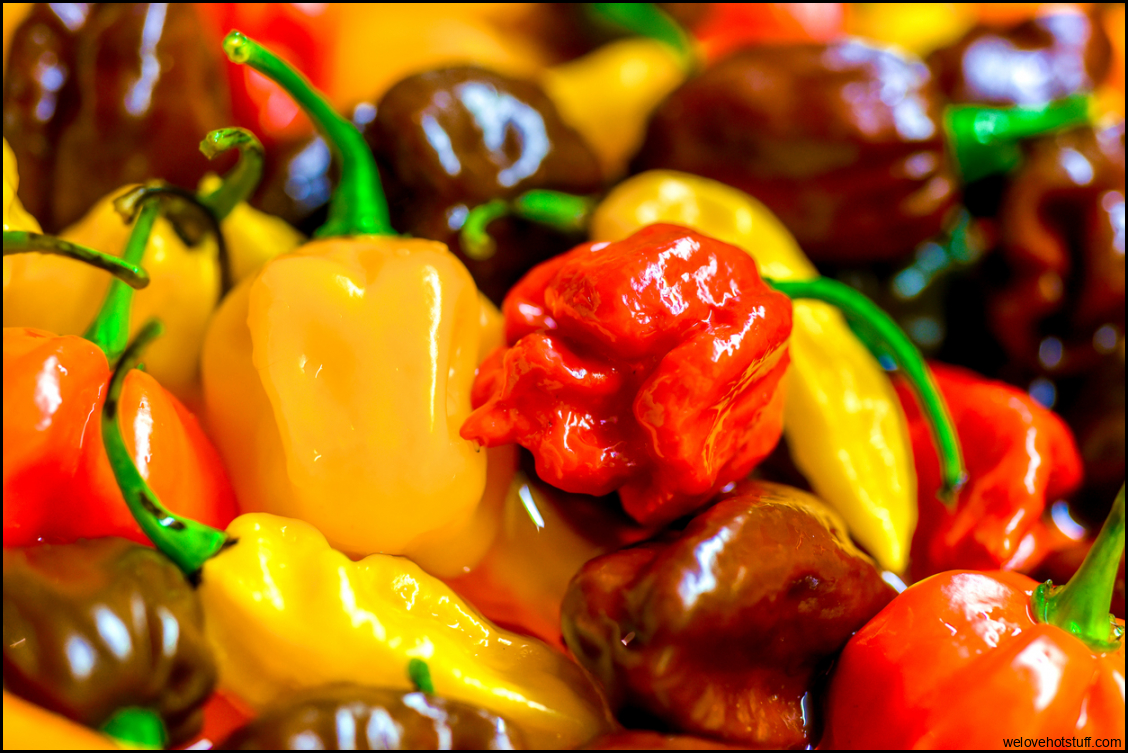 Different Types Hot Pepper