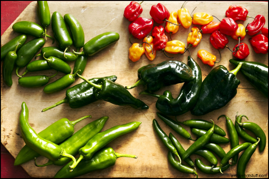 Discovering the Scoville Scale: World's Hottest Peppers - re·dact