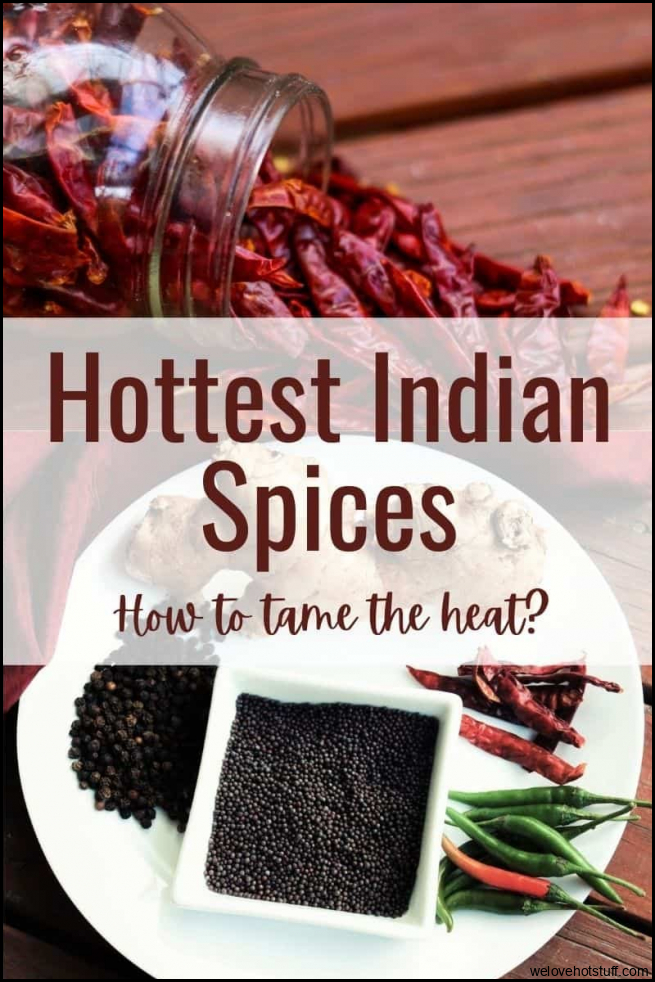 Hottest Indian spices - How to tame the heat? - Indian Kitchen and Spices