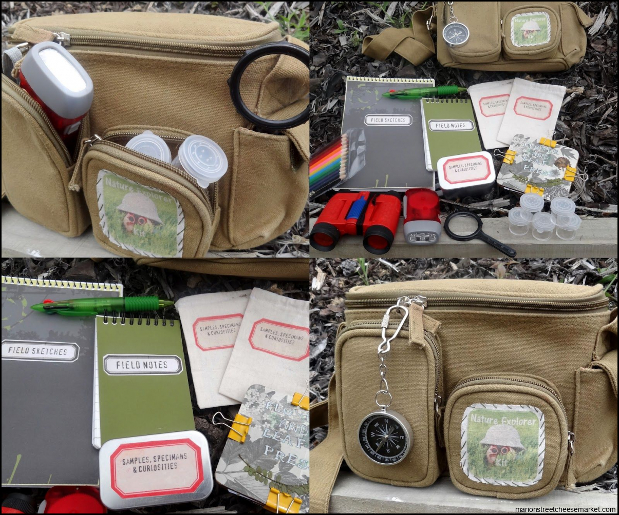 Nature Explorer Kit | Nature kids, Kits for kids, Gifted kids