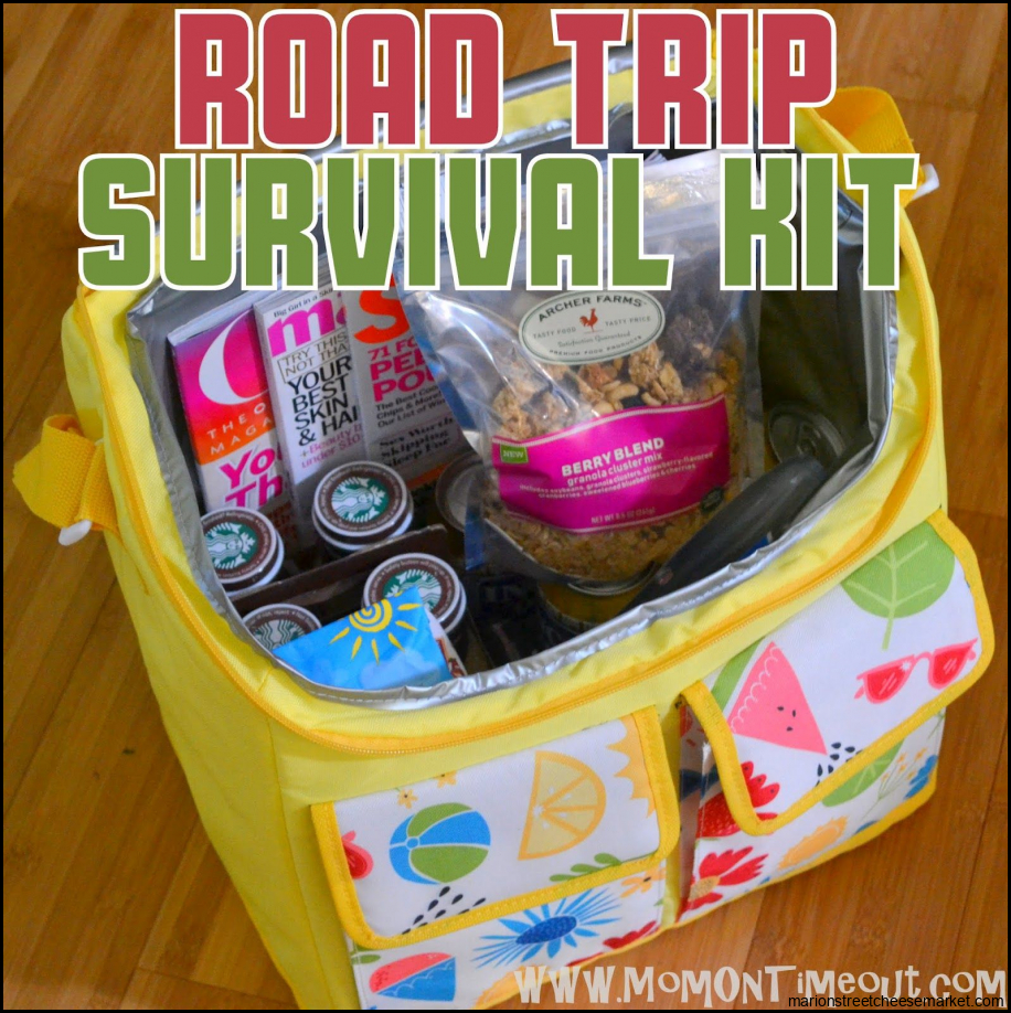 Road Trip Survival Kit - Gift Idea - Mom On Timeout | Road trip ...
